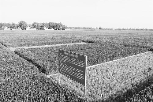 国产在线69秦先生,揭秘69秦先生的魅力与影响力